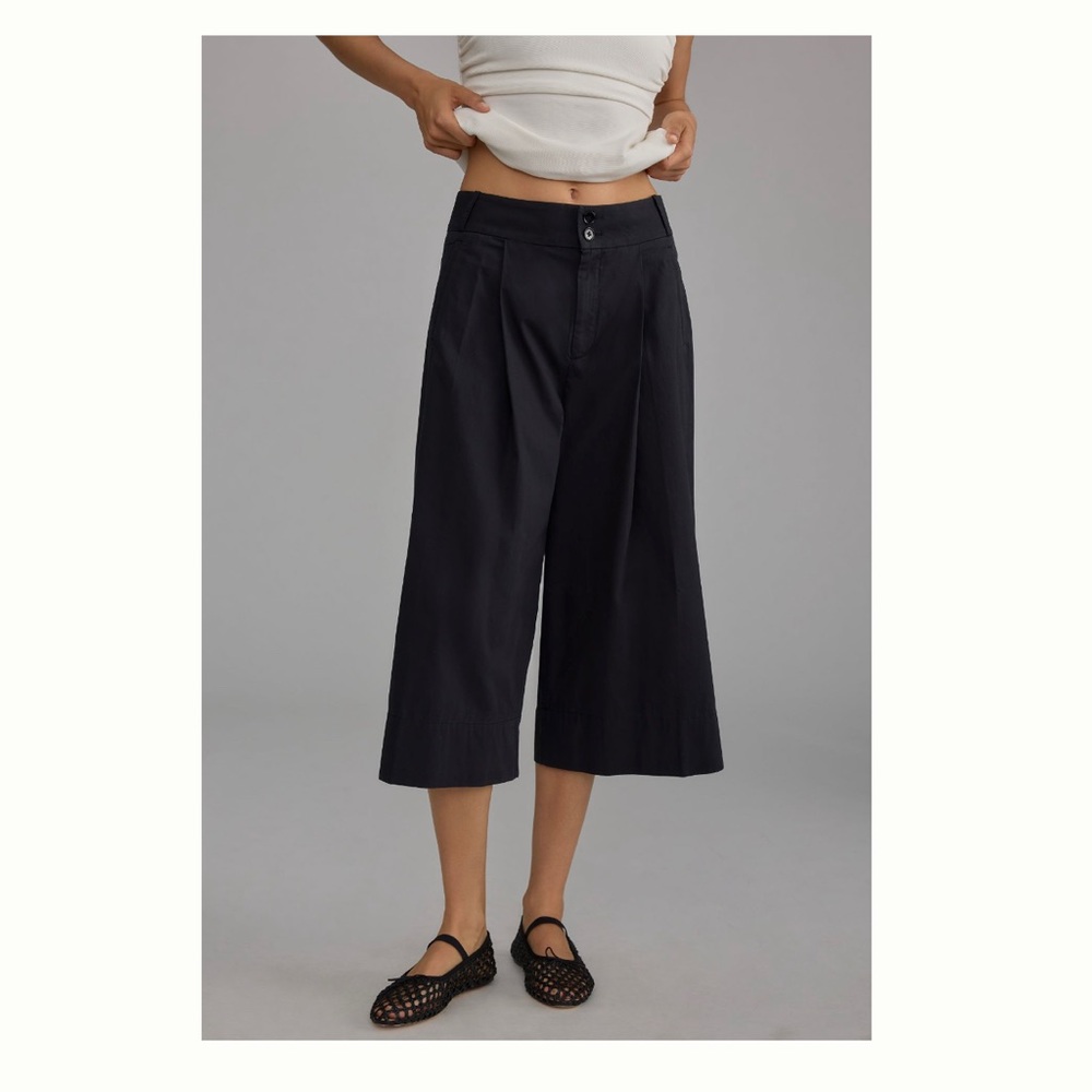 Anthropologie Cropped Wide-Leg Trousers - Culottes